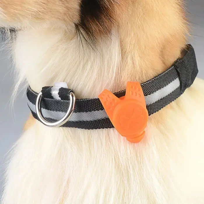 Close-up of a dog's neck wearing 9971-79962d.jpg, an orange bone-shaped tag attached, and the charm of an elegant puppy necklace.