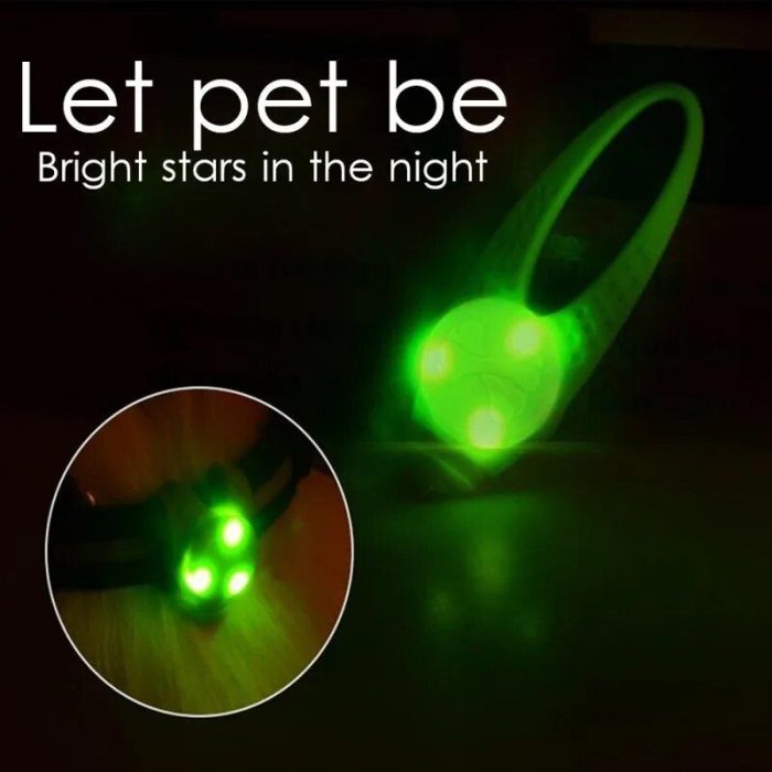 A glowing green pet dog collar with LED lights, featuring the text "Let pet be - Bright stars in the night" displayed at the top left corner. An inset shows a close-up of the collar's bright LED lights, making it the perfect 9971-b0b803.jpg for nighttime walks.