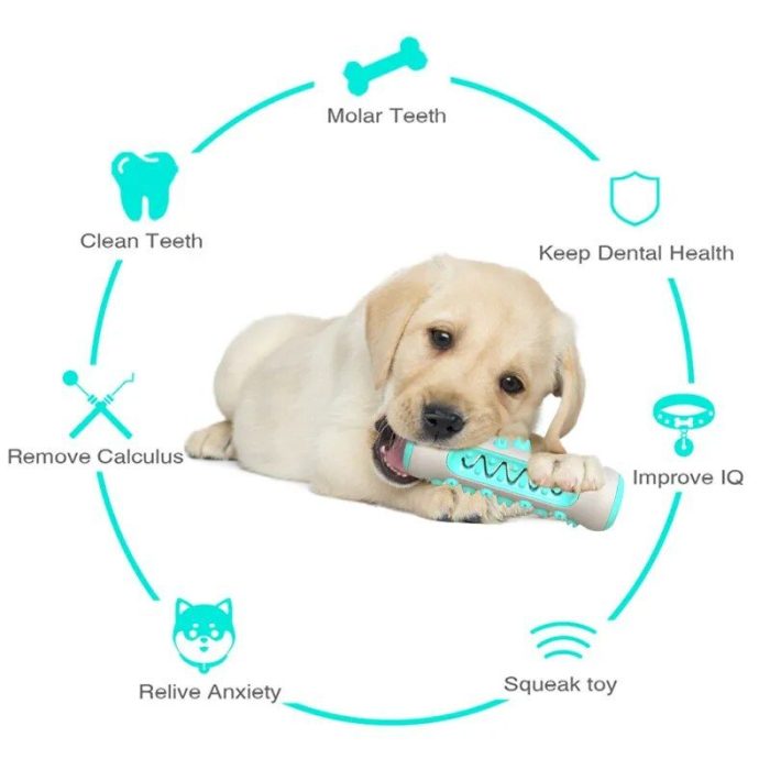 A puppy chews on a toy with icons around it illustrating benefits: molar teeth, keep dental health, improve IQ, squeak toy, relieve anxiety, remove calculus, and clean teeth. This innovative chew toy acts like a dog toothbrush to ensure optimal dental health for your furry friend—9986-0dd8a5.jpg.