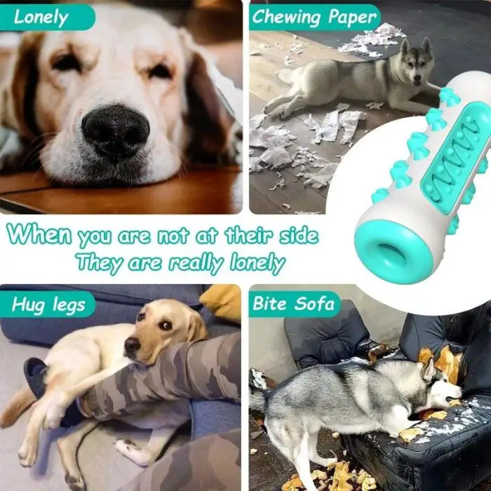 A collage of four images showing dogs being lonely. One dog lies bored, one chews paper, another hugs a person's leg, and a fourth dog bites a sofa. Text reads, "When you are not at their side they are really lonely." Keep puppies and dogs entertained with a 9986-963a66.jpg for better dental health.