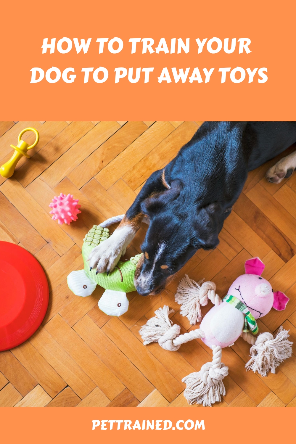 How to Train Your Dog to Put Away Toys