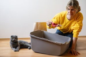 How To Get Rid Of Smelly Cat Litter