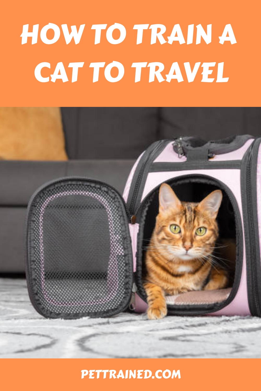 How To Train A Cat To Travel