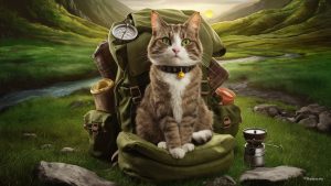 How-To-Train-An-Adventure-Cat