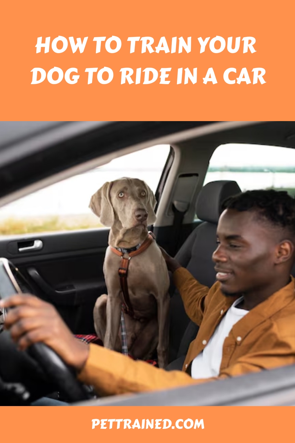 How To Train Your Dog To Ride In A Car