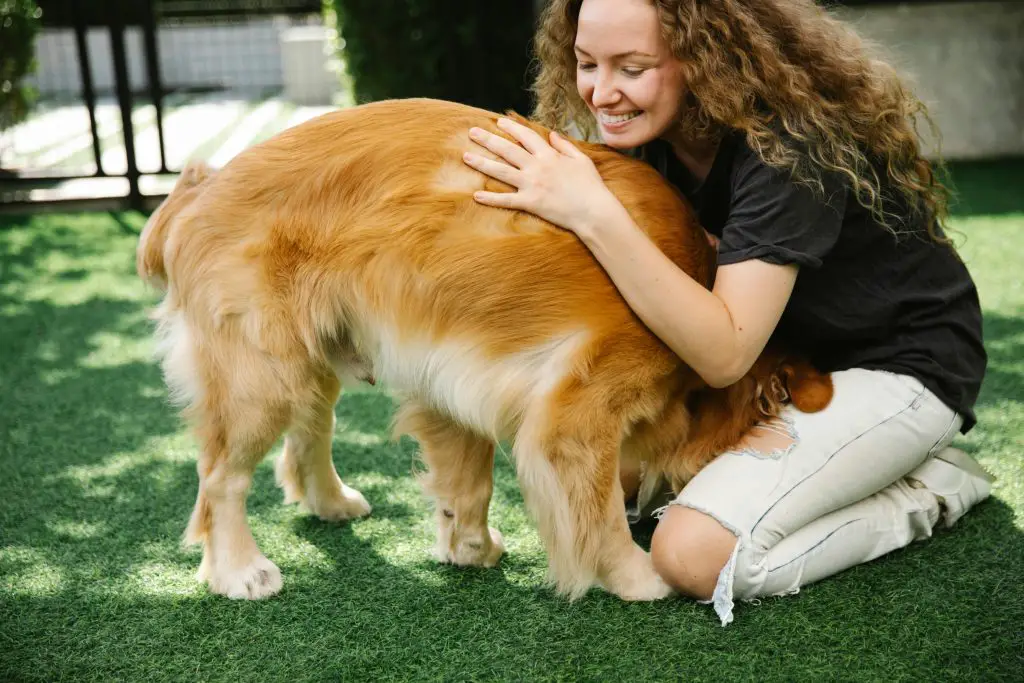 Positive Reinforcement Techniques